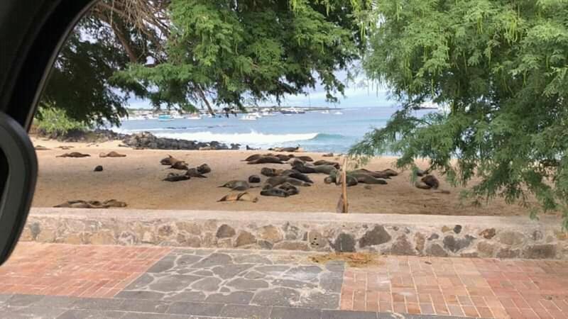 Hostal Albatros San Cristóbal Eksteriør bilde